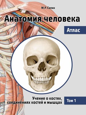 cover image of Анатомия человека. Атлас. Том 1. Учение о костях, соединениях костей и мышцах